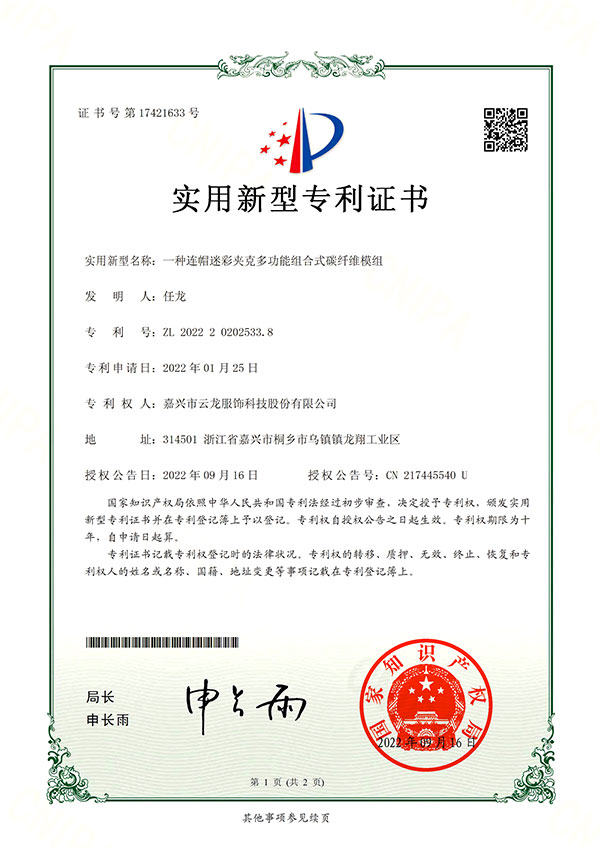 ZL2022-2-0202533